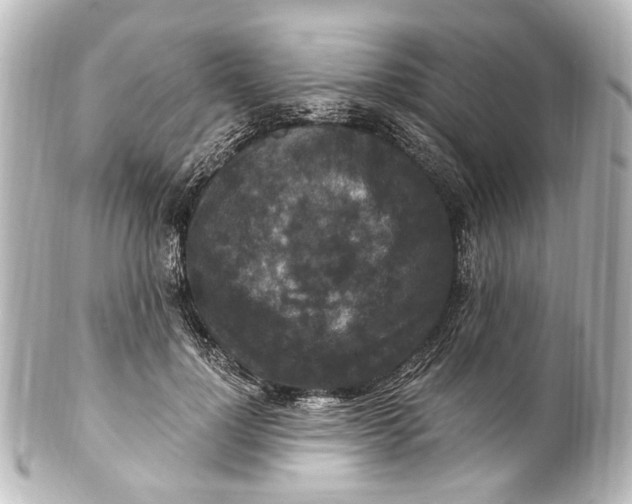 X0000101440748200807281022