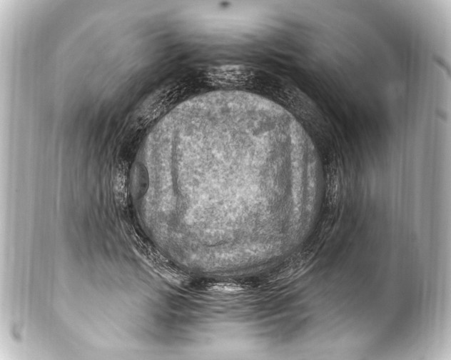 X0000101440749200807281022