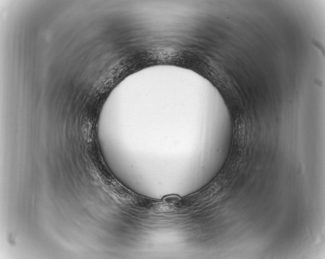 X0000101440750200807281022