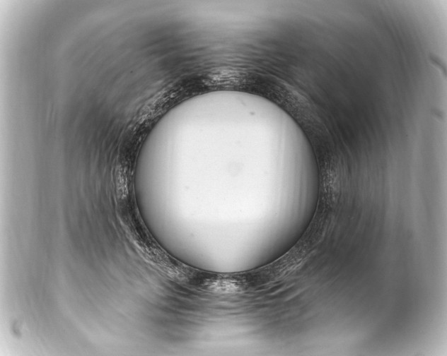 X0000101440751200807281022