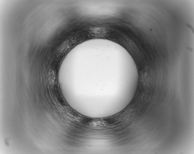 X0000101440752200807281022