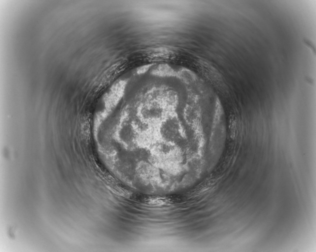 X0000101440753200807281022