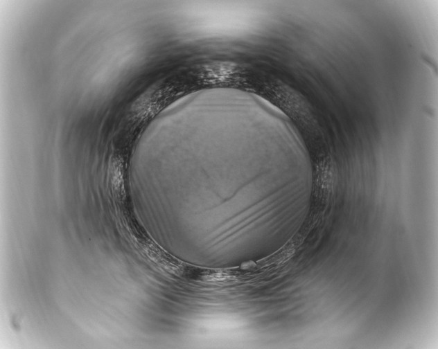 X0000101440754200807281022