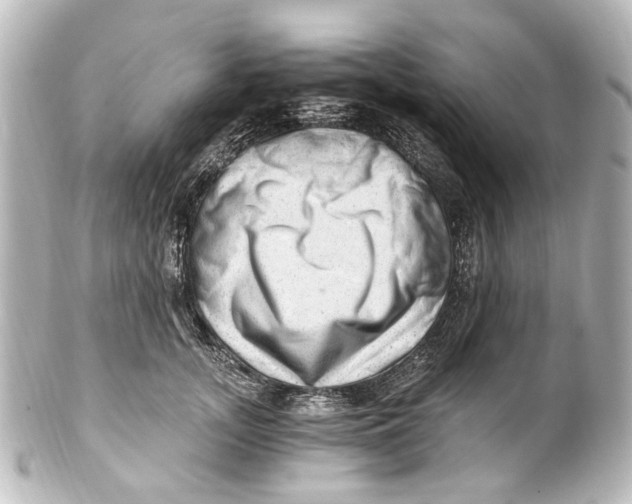 X0000101440755200807281022