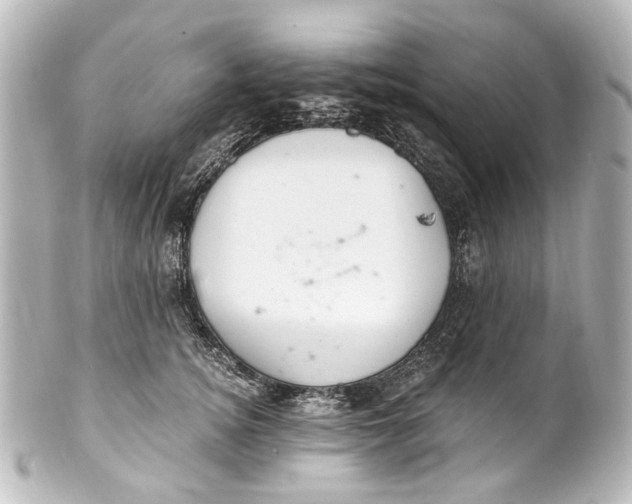 X0000101440756200807281022