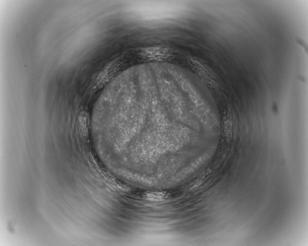 X0000101440757200807281022