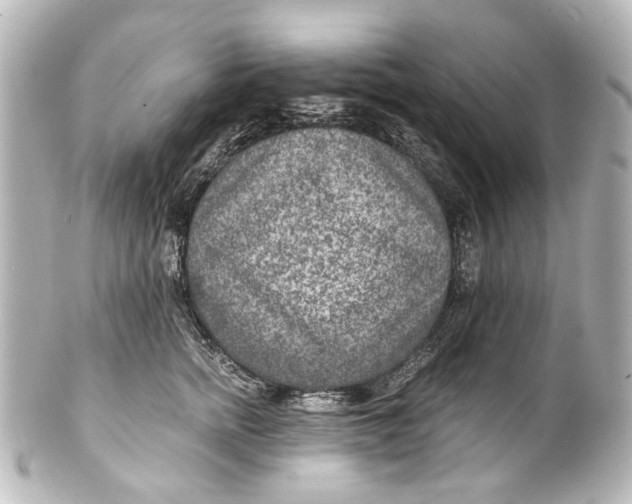 X0000101440758200807281022