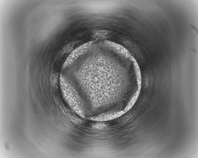 X0000101440759200807281022