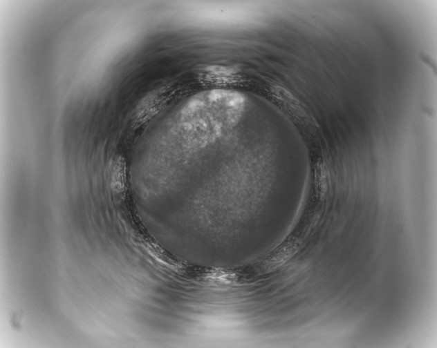 X0000101440760200807281022