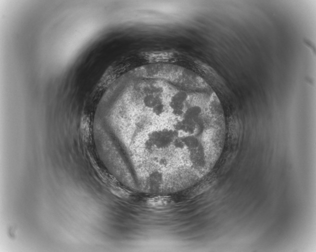 X0000101440761200807281022