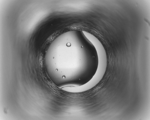 X0000101440762200807281022