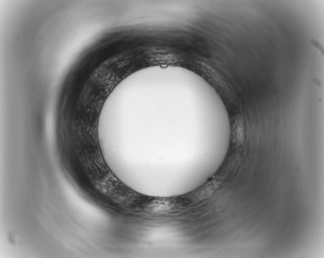 X0000101440764200807281022