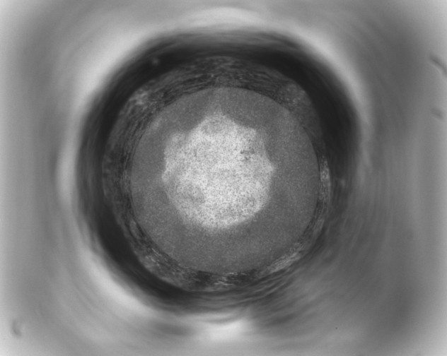 X0000101440765200807281022