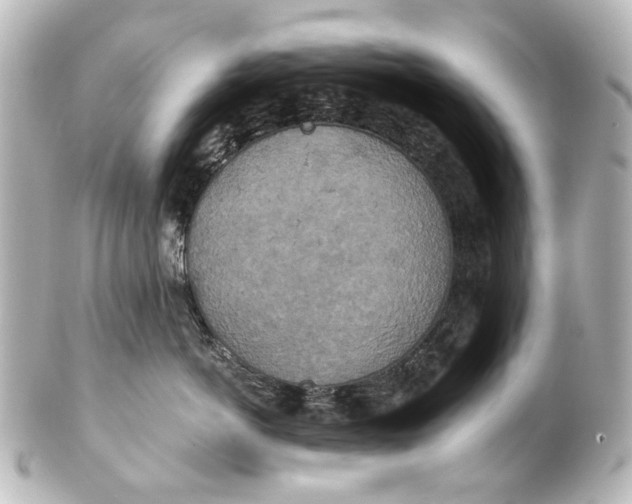 X0000101440766200807281022