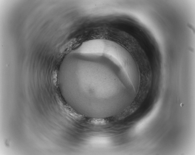 X0000101440767200807281022