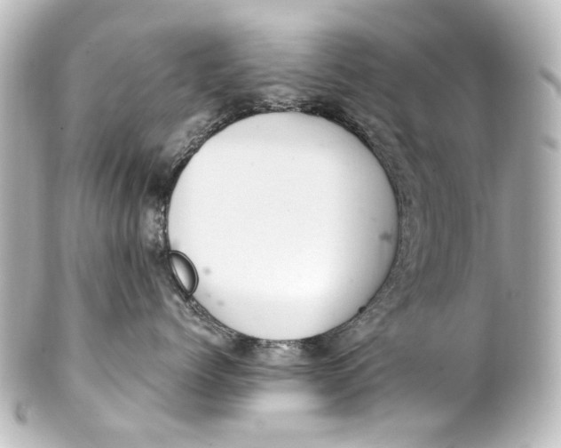 X0000101440768200807281022