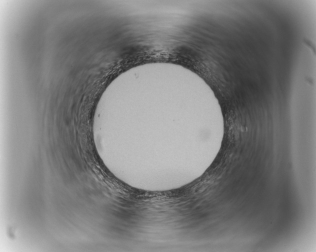 X0000101440769200807281022