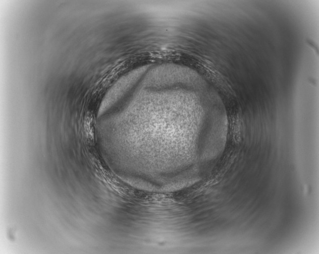 X0000101440770200807281022