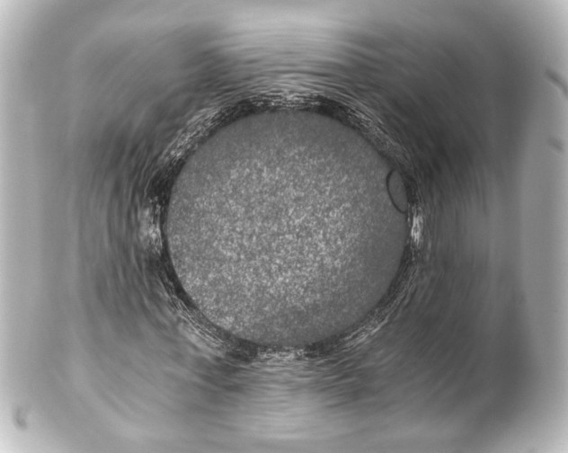 X0000101440771200807281022