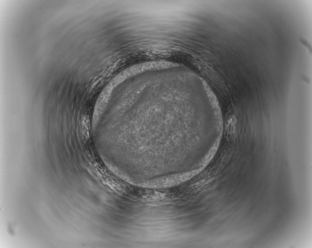 X0000101440772200807281022