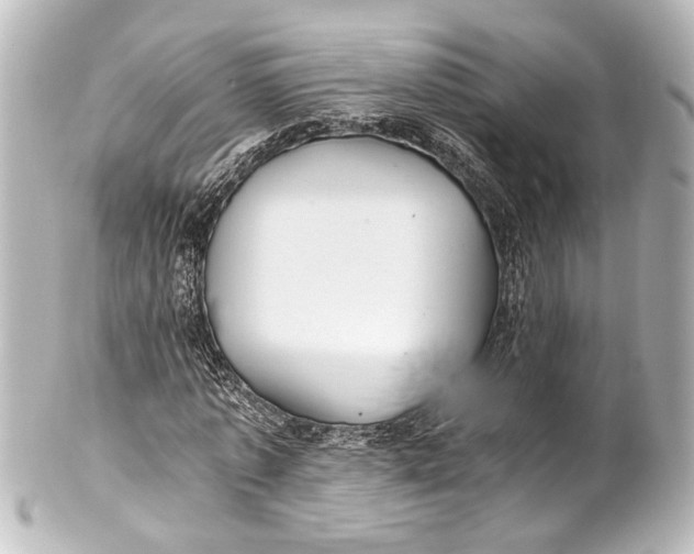 X0000101440773200807281022