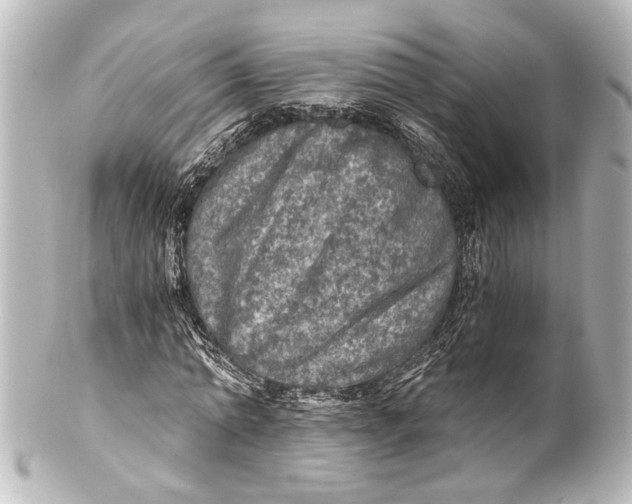 X0000101440774200807281022