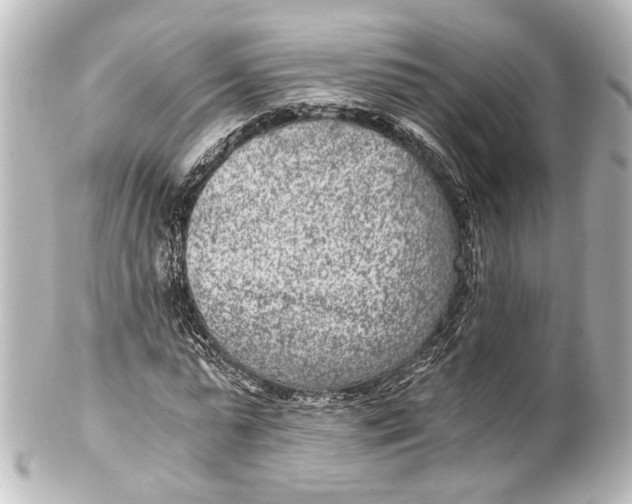 X0000101440775200807281022