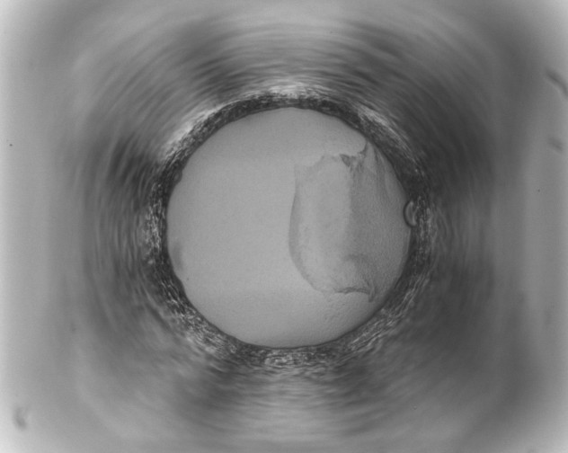 X0000101440776200807281022