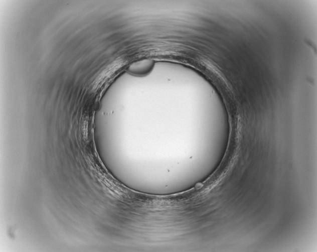 X0000101440777200807281022