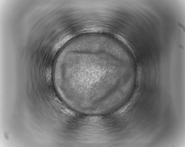 X0000101440778200807281022