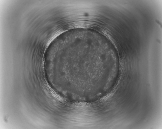 X0000101440779200807281022