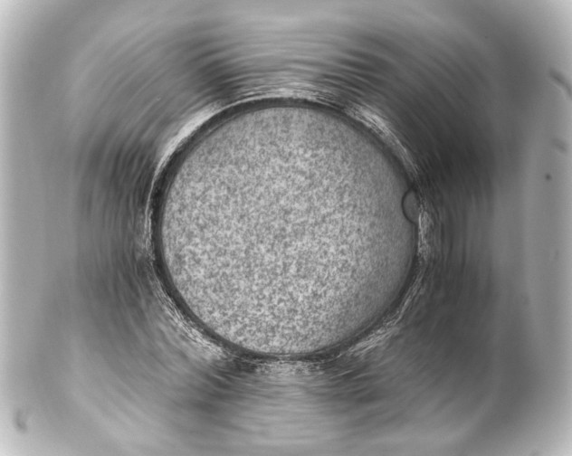 X0000101440780200807281022