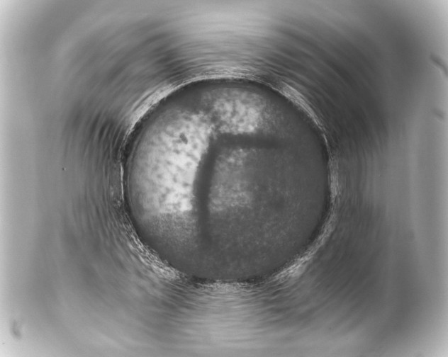 X0000101440781200807281022