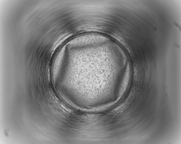 X0000101440782200807281022