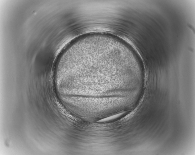 X0000101440783200807281022