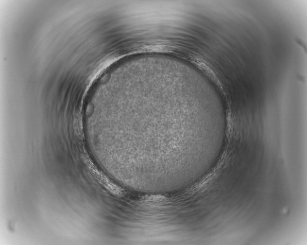 X0000101440784200807281022