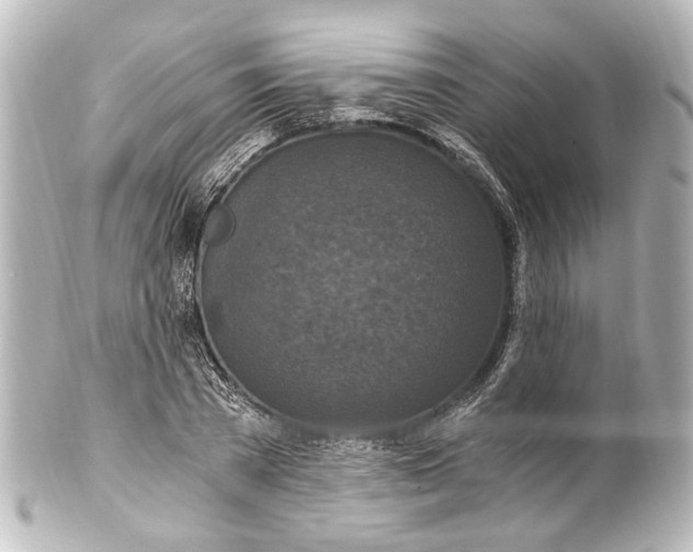 X0000101440785200807281022