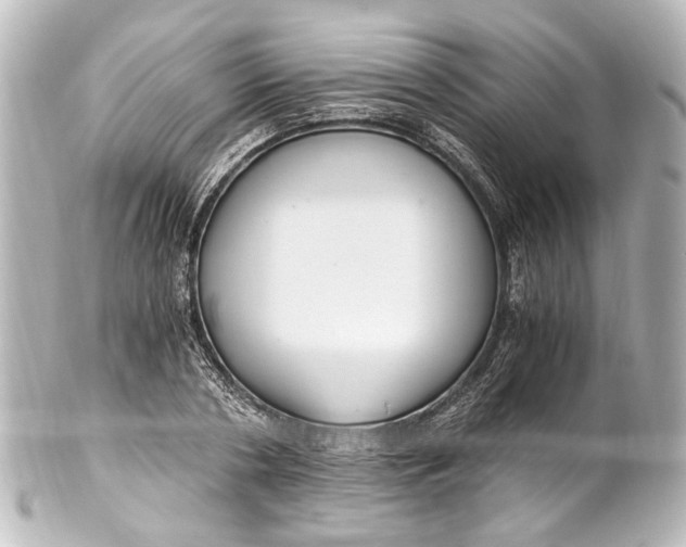 X0000101440786200807281022