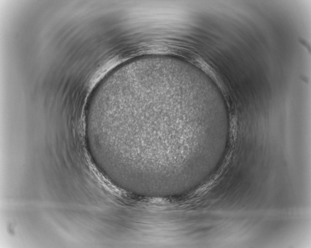 X0000101440787200807281022