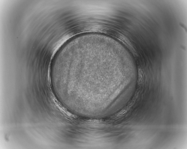 X0000101440788200807281022