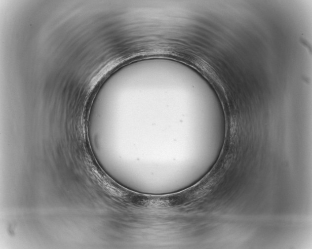 X0000101440789200807281021