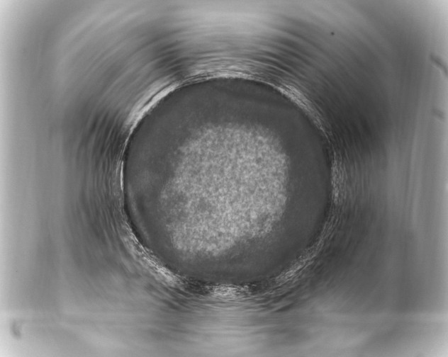 X0000101440790200807281021