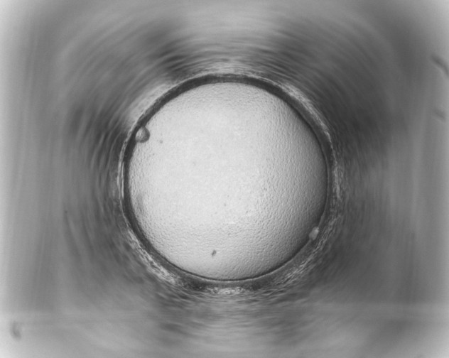 X0000101440791200807281021