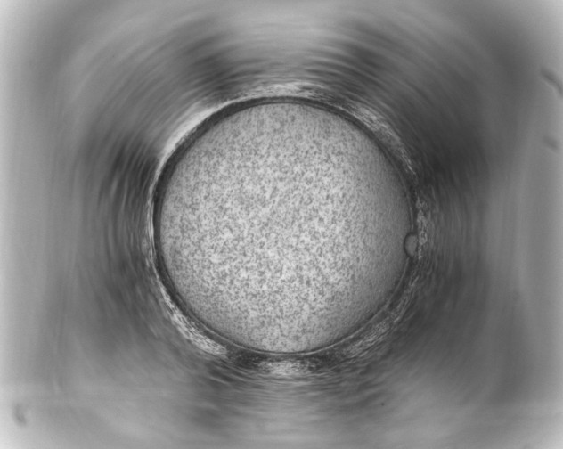 X0000101440792200807281021