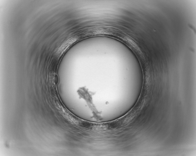 X0000101440793200807281021