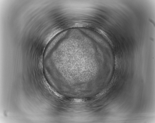 X0000101440794200807281021