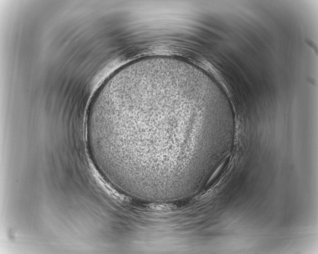 X0000101440795200807281021