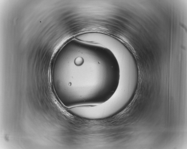 X0000101440796200807281021