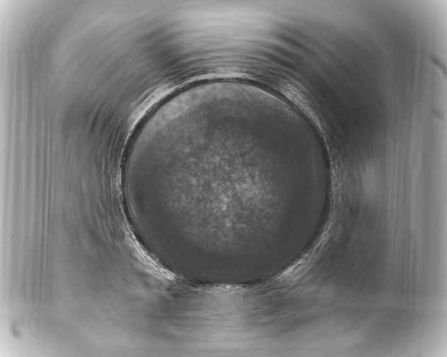 X0000101440797200807281021