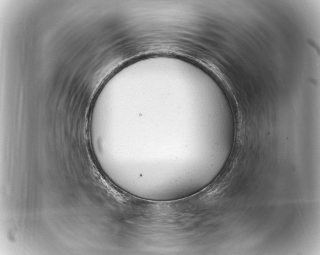 X0000101440799200807281021